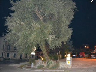Al Fagiano