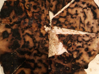 Pizza Flash