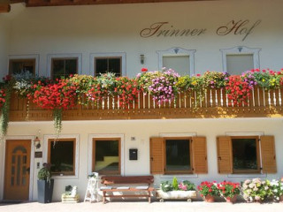 Buschenschank Trinnerhof Osteria Contadina