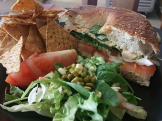 Pash The Healthy Options