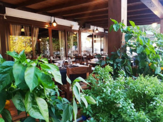 Roxy Braceria Pizzeria