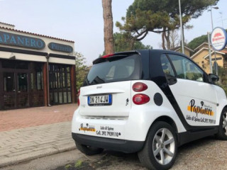 Papanero