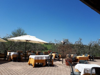 Il Giardino Degli Ulivi