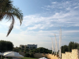 Tenuta Virgilio