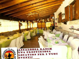 Dell'azienda Agrituristica Appaloosa Ranch