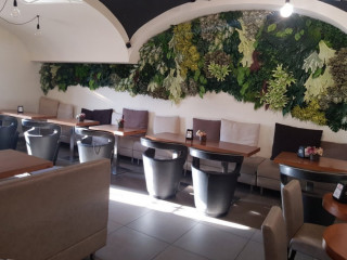 Brancaccio