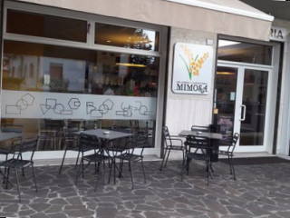 Mimosa Gelateria Caffetteria