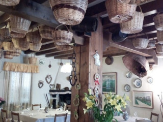 All'edera