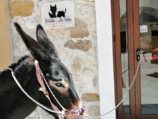 Il Gatto La Volpe