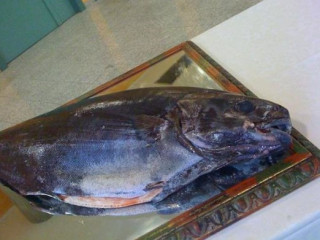 Olio Grosso