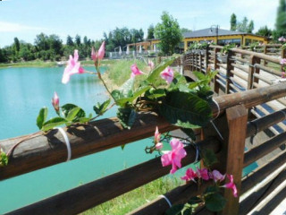 Pizzeria Oasi Campagnola