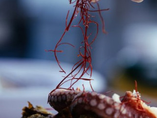 La Barchetta Fish