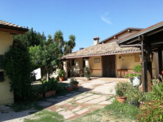 Fattoria Dell'uliveto