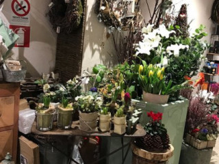 Fleurs Folie