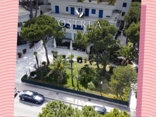 Ostrea
