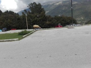 Oasi Del Lago