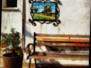 Il Giardino Fra Gli Ulivi