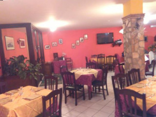 Verdi Follie