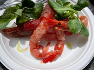 Sardina
