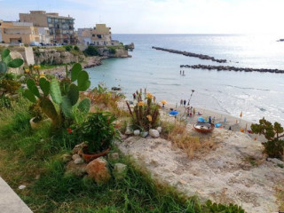 Il Moresco