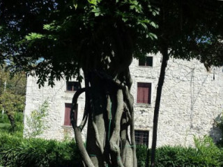 La Lumaca