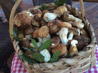 Agriturismo Il Mulinaccio