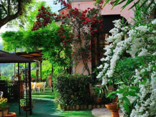 Belvedere