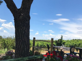 Agriturismo Il Nuovo Merendero Di Vanni Neri