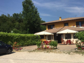 Il Cervo