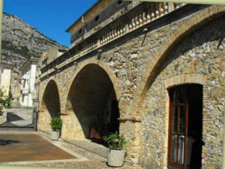 L'antico Ulivo