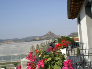 Agriturismo Alpa