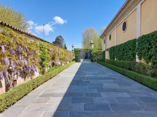 La Madonnina Basilico Di Villa Massimo E Villa Giovanni
