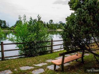 Lago Malaspina