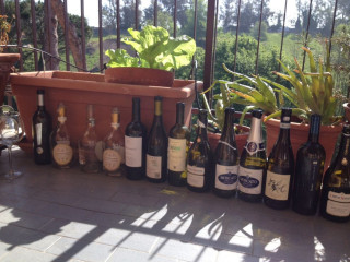 Vineria 16 36