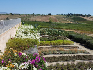 La Foresteria Planetaestate