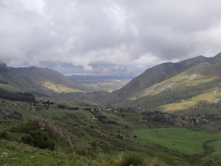 Casi Javuti