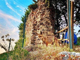 Chiosco Delle Aquile