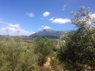 Agriturismo Locoe