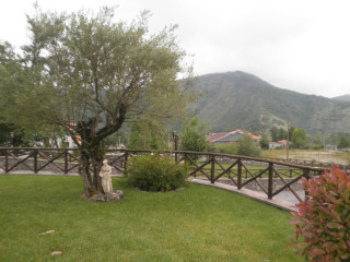 Cazzanedda