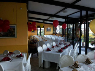 Le Mimose