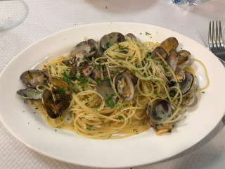 Cervo