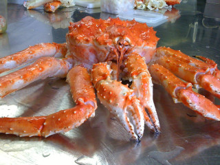 Osteria Melograno