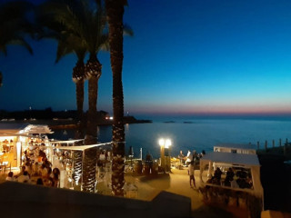 Le 5 Palme