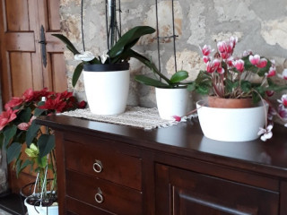 La Fontanella