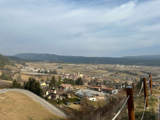 Anselmi