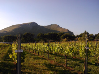 Agriturismo La Starza