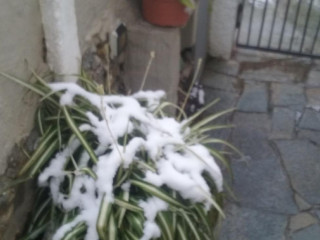 Non Solo Caffe'