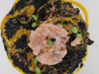 Guakamaya Da Carlo 2.0