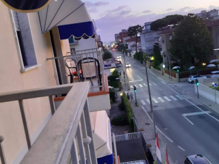 Fortunella