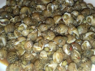 Gustoso